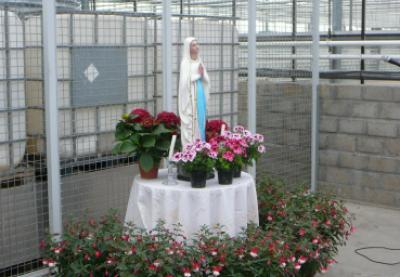 Mariaviering bij Hendrik en Els